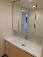 洗面室:洗面洗面化粧台