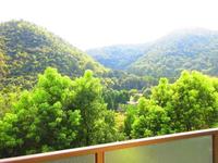 眺望:バルコニーからの眺め。緑がいっぱいです。