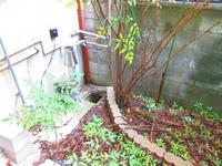 専用庭:1F広縁から続く敷地裏側、南向きのお庭。ガーデニングにピッタリ。